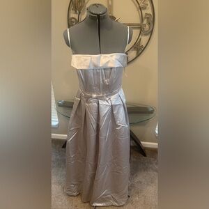 Elegant‎ Silver Strapless Dress by After Six Size 10 Sample NWT